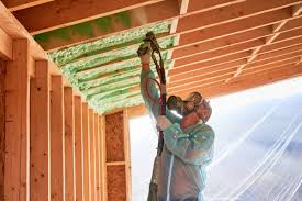 Types of Insulation We Offer in Laguna Vista, TX